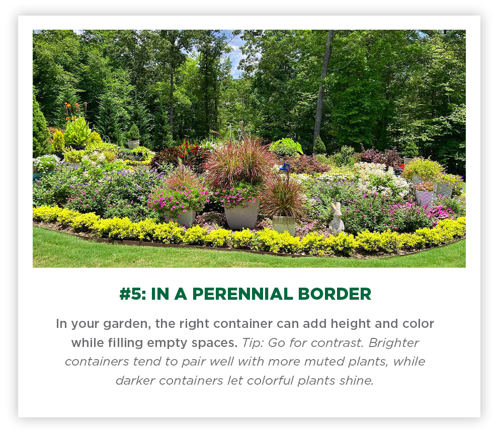 perennial border containers