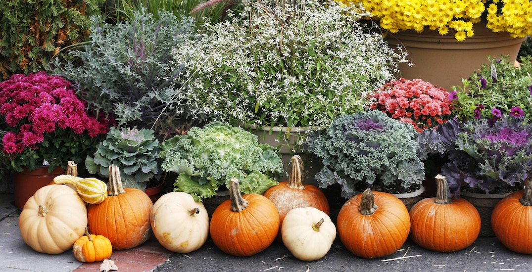 fall