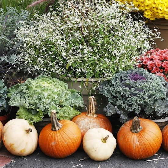 fall